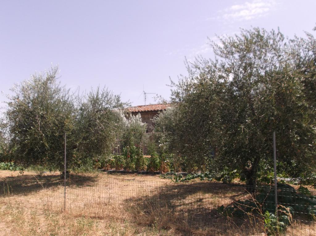 Locazione Turistica Ex Le Casette Di Cedromonte Panicale Luaran gambar